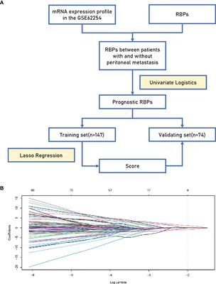 RNA-Binding Protein COL14A1, TNS1, NUSAP1 and YWHAE Are Valid Biomarkers to Predict Peritoneal Metastasis in Gastric Cancer